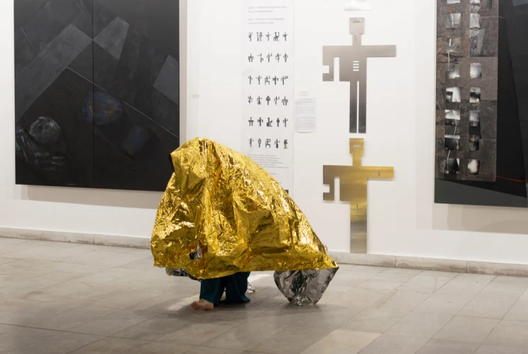 DISSONANCES Изложба конкурс за съвременни визуални изкуства 4